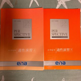 もとり様用　パースペクティブ6年(語学/参考書)