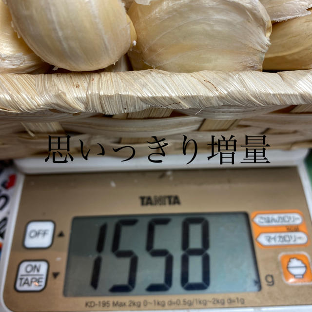 新物　青森県産福地ホワイトニンニク　Sサイズ1500g 食品/飲料/酒の食品(野菜)の商品写真