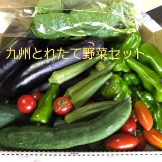 九州とれたて野菜セット　コンパクト便(野菜)