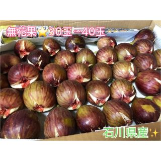 無花果　30玉〜40玉　約3kg 石川県産(フルーツ)