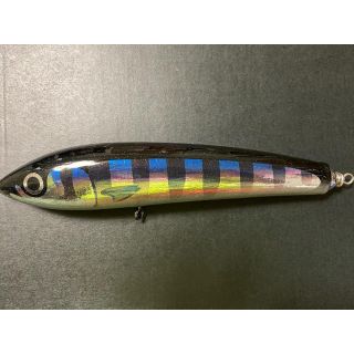 カーペンター ブルーフィッシュ160 フィッシュマークの通販 by