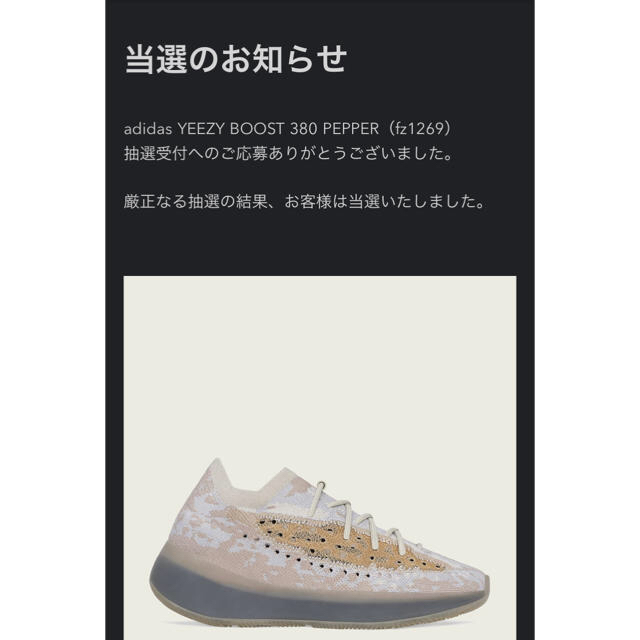 adidas(アディダス)のadidas YEEZY BOOST 380 PEPPER メンズの靴/シューズ(スニーカー)の商品写真