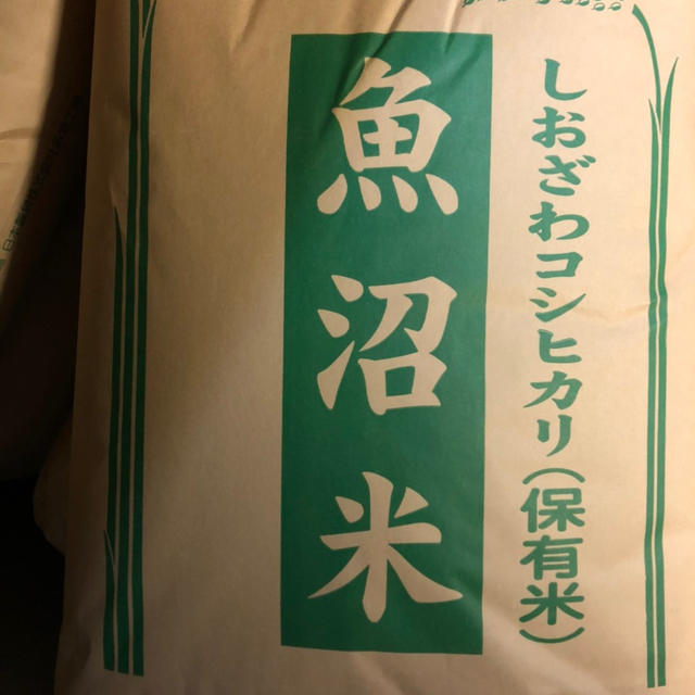 10kg　南魚沼産コシヒカリ◎しおざわ米　米/穀物