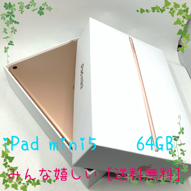 Apple iPad mini5 64GB ゴールド wi-ifモデル