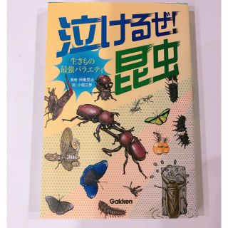 泣けるぜ！昆虫(絵本/児童書)