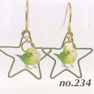 インコ　プチピアス　星　スター　鳥　no.234(ピアス)