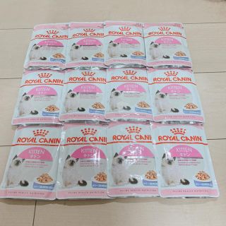 ロイヤルカナン(ROYAL CANIN)のROYALCANIN ロイヤルカナン 子猫用 ゼリー(ペットフード)