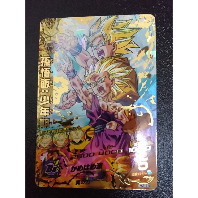 ドラゴンボールヒーローズH2-16 親かめ 高質 tiendacovadonga.es