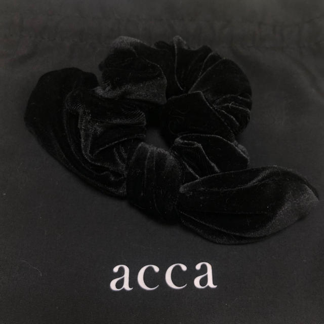 73%以上節約 acca アッカ バニーシュシュ ベロア nuseluj.com