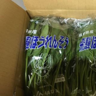 飛騨ほうれん草　ゆうパケット(野菜)