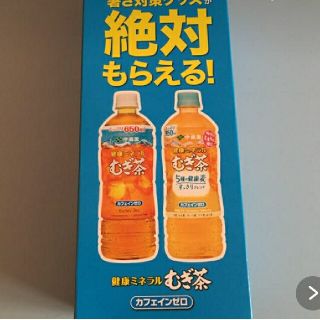 イトウエン(伊藤園)の伊藤園、キャンペーン、麦茶、ステンレスマイボトル、非売品、水筒、早い者勝ち、限定(ノベルティグッズ)