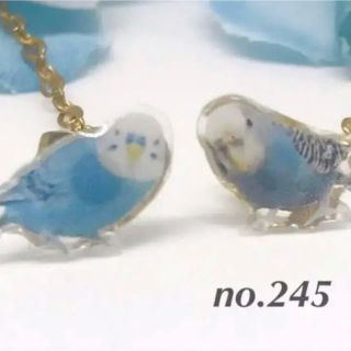 インコ　プチピアス　ブルーフラワーキャッチつき　セキセイ 鳥　no.245(ピアス)