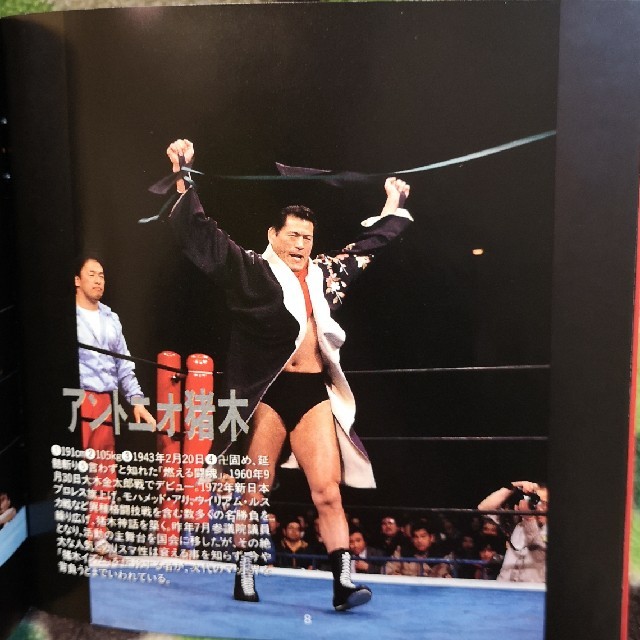 ザ・プロレスリング'90'S アントニオ猪木 武藤敬司 エンタメ/ホビーのCD(その他)の商品写真