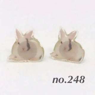 ウサギ　うさぎ  プチピアス　no.248(ピアス)