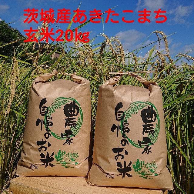 茨城令和2年産あきたこまち玄米20㎏食品