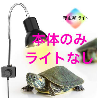 爬虫類　バスキングライト　電球なし(爬虫類/両生類用品)