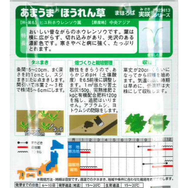 【伝説級‼️】ホウレンソウ まほろばの種 150粒【ほうれん草 種】野菜 タネ 食品/飲料/酒の食品(野菜)の商品写真