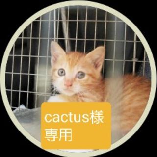 ロクシタン(L'OCCITANE)の●cactus様専用ページです●(ハンドクリーム)