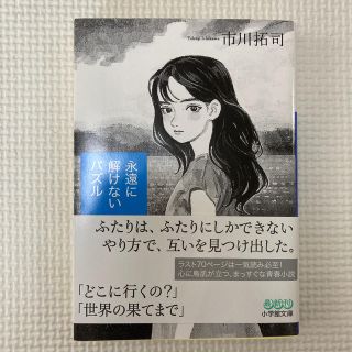 永遠に解けないパズル(文学/小説)