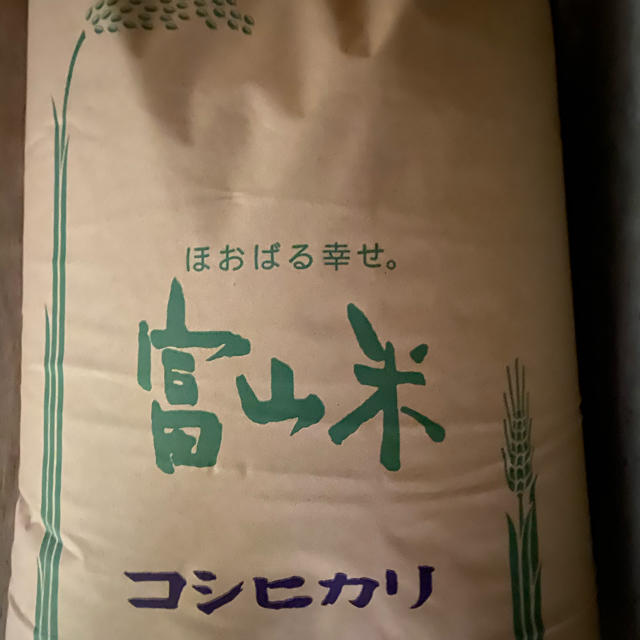 農家直送令和2年新米コシヒカリ20キロ玄米