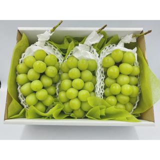 緊急値下げ❗️山梨県産種無しシャインマスカット🍇3房化粧箱　1房約500g前後(フルーツ)