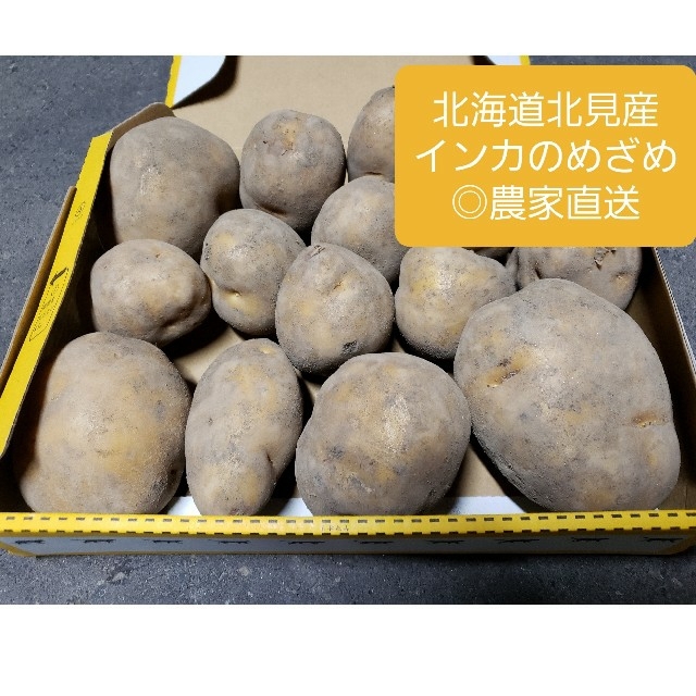 北海道 北見産 新じゃがいも インカのめざめ ◎農家直送 食品/飲料/酒の食品(野菜)の商品写真