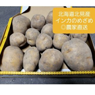 北海道 北見産 新じゃがいも インカのめざめ ◎農家直送(野菜)