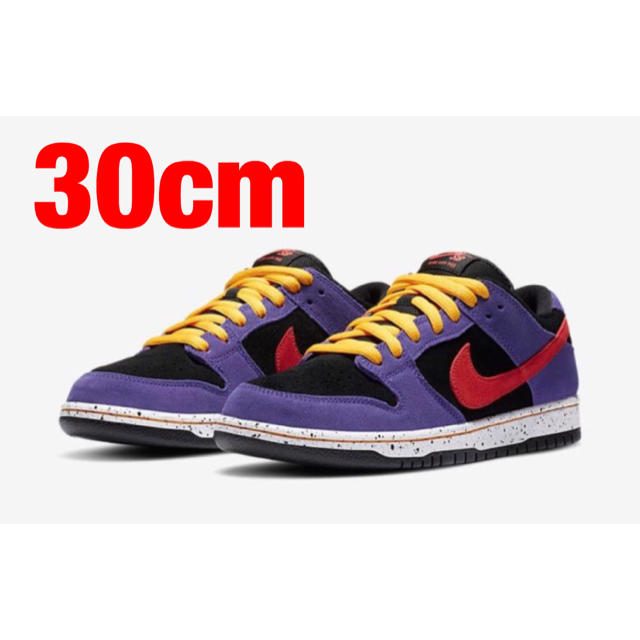 NIKE SB DUNK LOW PRO『TERRA ACG』 30cm