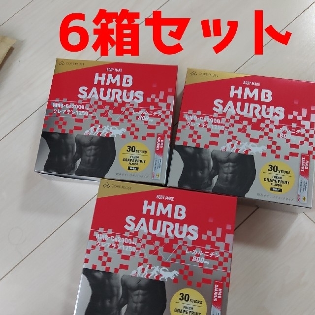 HMB SAURSU アミノサウルス 6箱セット