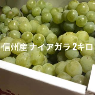 信州産　葡萄　ナイアガラ  2kg (フルーツ)