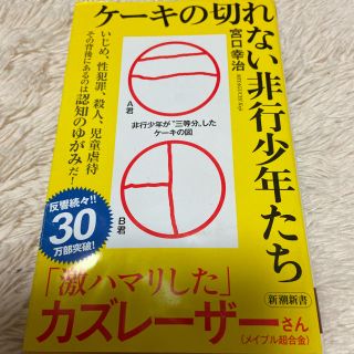 ケーキの切れない非行少年たち(文学/小説)