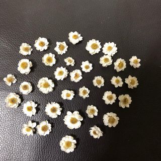 花かんざしドライフラワー訳あり(ドライフラワー)