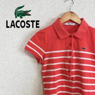 ラコステ(LACOSTE)のLACOSTE ラコステ　ポロシャツ　半袖　レディース　オレンジ　ボーダー  白(ポロシャツ)