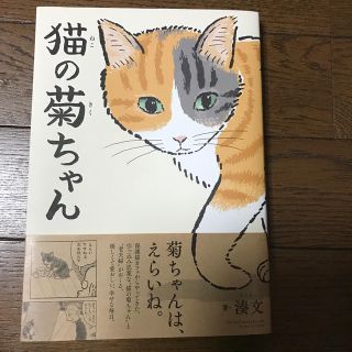 猫漫画　猫の菊ちゃん(文学/小説)