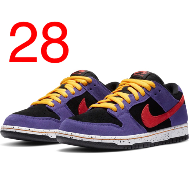 メンズNIKE SB DUNK LOW PRO TERRA ACG 28cm 送料込