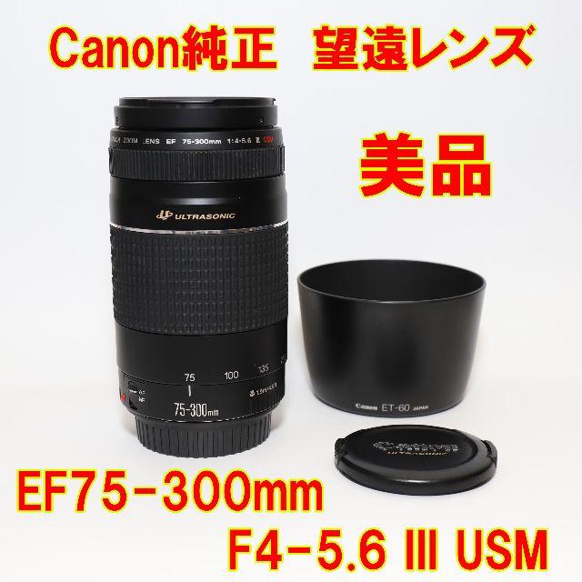 【望遠レンズ】Canon EF75-300mm F4-5.6 III USM