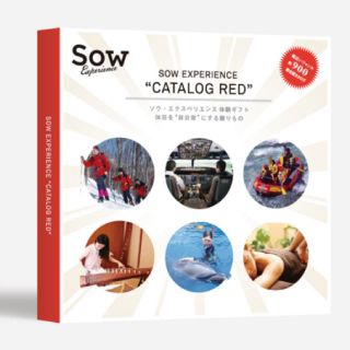 sow 総合版カタログRED ※今日限りの値段です！(その他)