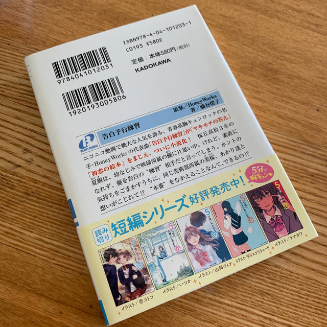 告白予行練習 エンタメ/ホビーの本(文学/小説)の商品写真