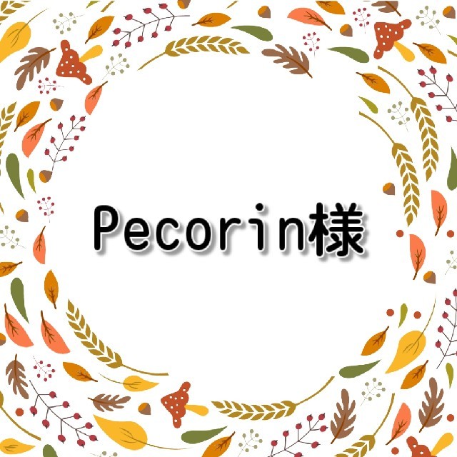 Pecorin様用 食品/飲料/酒の食品(米/穀物)の商品写真