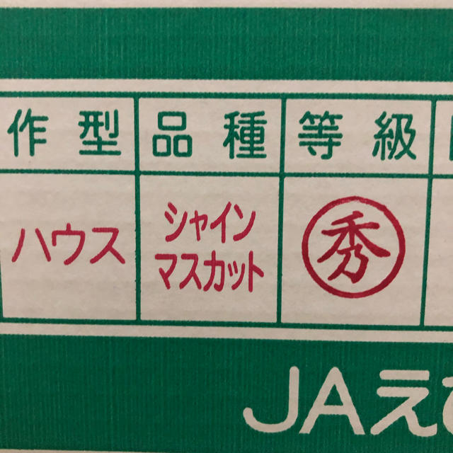 【MIE様専用】シャインマスカット3房･ピオーネ1房セット 食品/飲料/酒の食品(フルーツ)の商品写真