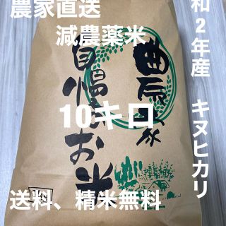 新米　令和2年産キヌヒカリ10キロ　和歌山よりお届け(米/穀物)