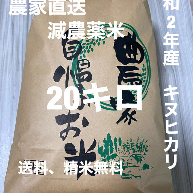 和歌山よりお届け　米/穀物　新米　令和2年産キヌヒカリ20キロ