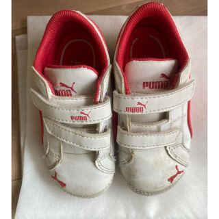 プーマ(PUMA)のプーマ　スニーカー　11.5(スニーカー)