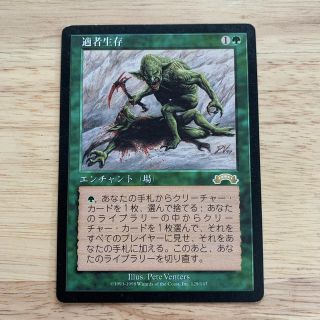 マジックザギャザリング(マジック：ザ・ギャザリング)のMTG 適者生存　日本語　一枚(シングルカード)