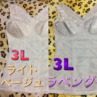 さち福ちゃん様専用 2枚セット‼️ベージュ3L豪華なレースの補正下着(その他)