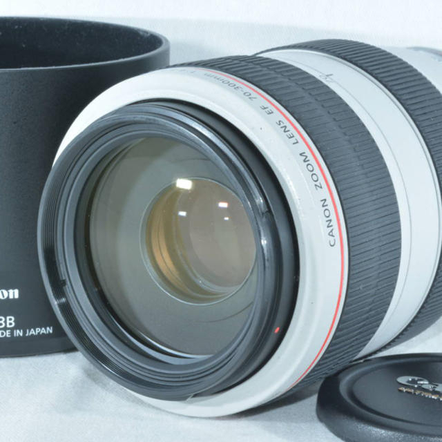 Canon EF 70-300mm F4-5.6L IS USM 極美品