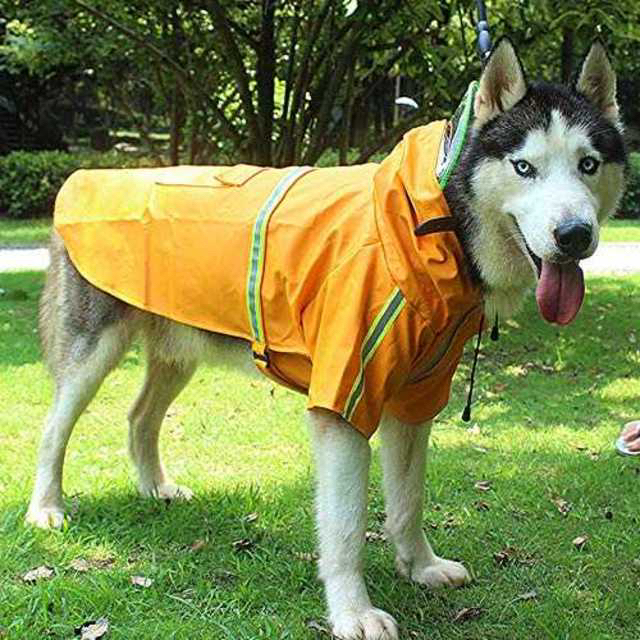 イエロー or オレンジ　3xl （14-24kg）レインコート 犬 中型犬 その他のペット用品(犬)の商品写真