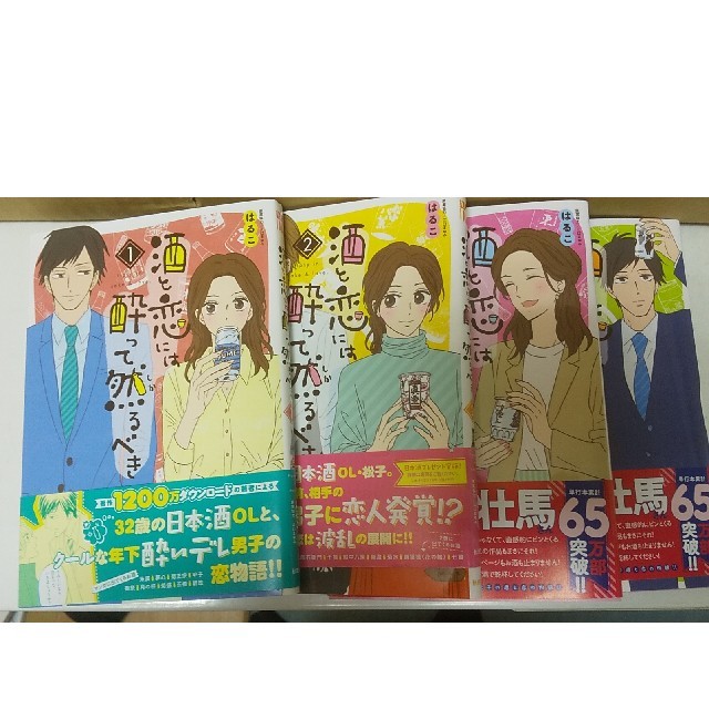 酒と恋には酔って然るべき  全巻 エンタメ/ホビーの漫画(女性漫画)の商品写真