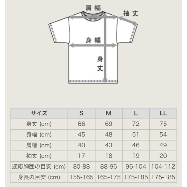 Hanes(ヘインズ)の新品 ヘインズ プレミアムライン tシャツ S レディースのトップス(Tシャツ(半袖/袖なし))の商品写真