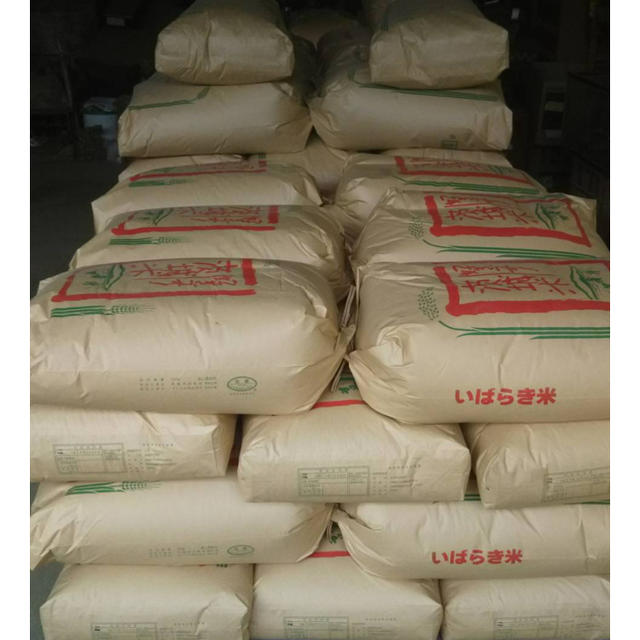 耐熱 二層 足あとぐらす (M) 令和2年 新米茨城県産コシヒカリ 玄米15キロ 冷蔵庫保存 通販
